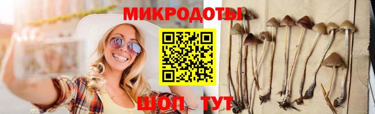Псилоцибиновые грибы ЛСД  Псилоцибиновые грибы GOLDEN TEACHER  Вход с VPN  Волжский 